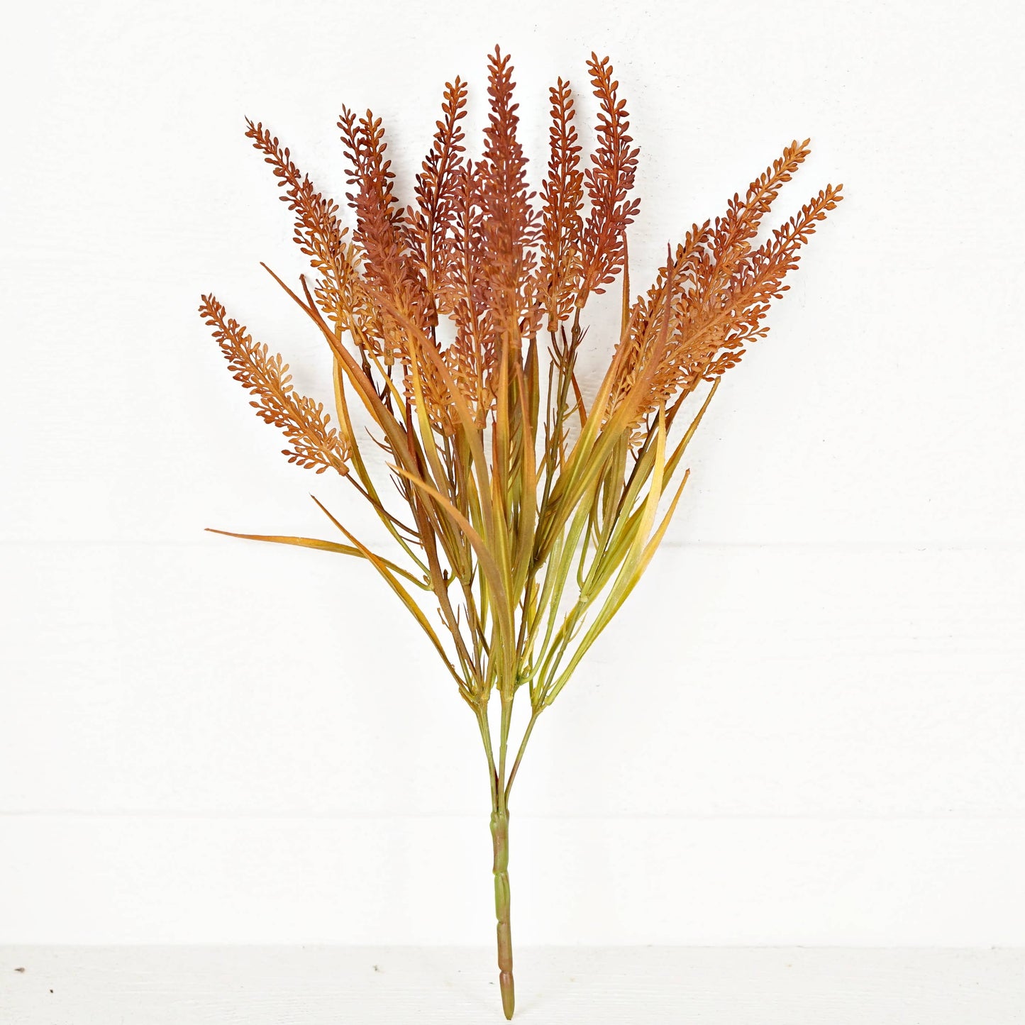 530903- 18in Bush-Fall Heather Seeds-Deep Orange