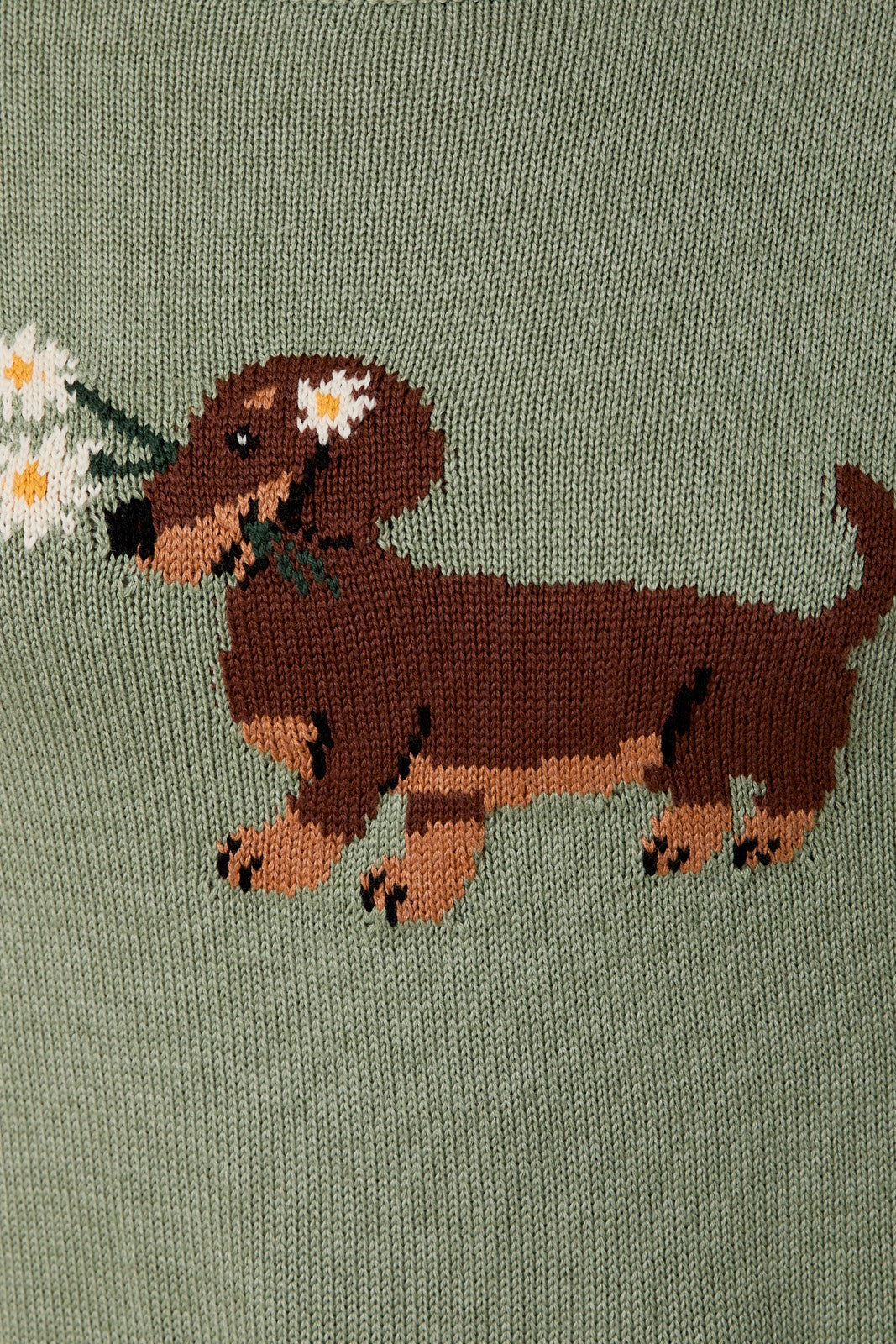 Sophie Dachshund Sage Sweater