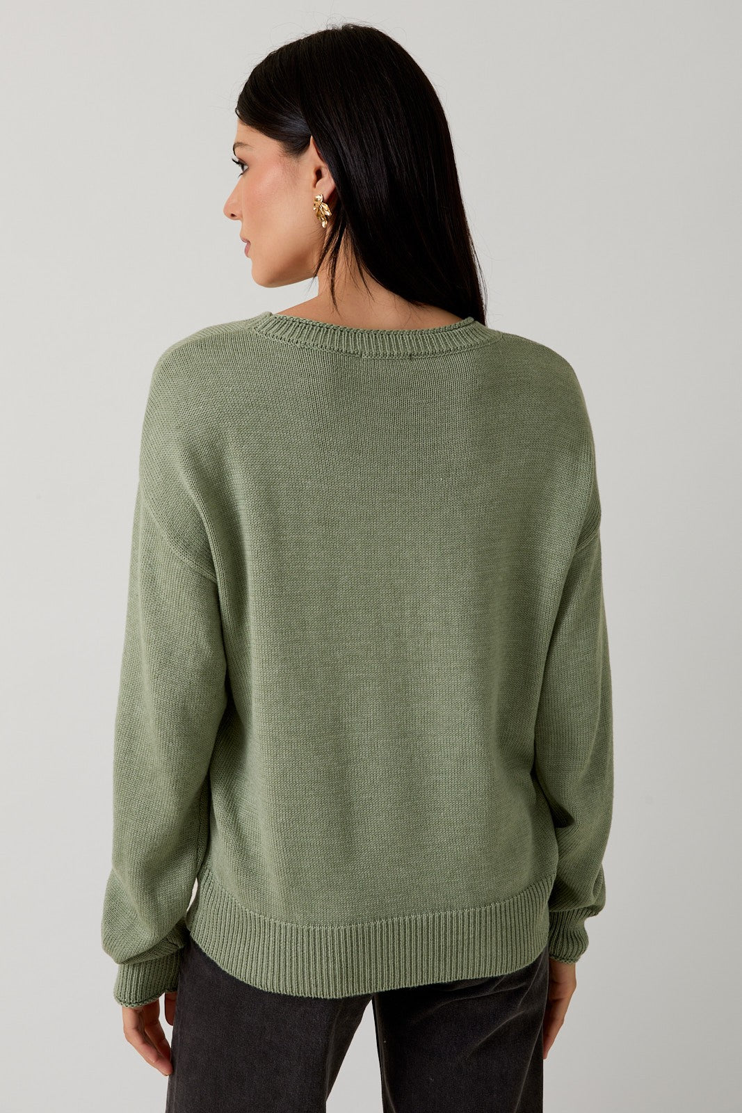 Sophie Dachshund Sage Sweater