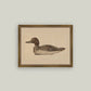 Wooden Duck Decoy Framed Antique Art: 9x7