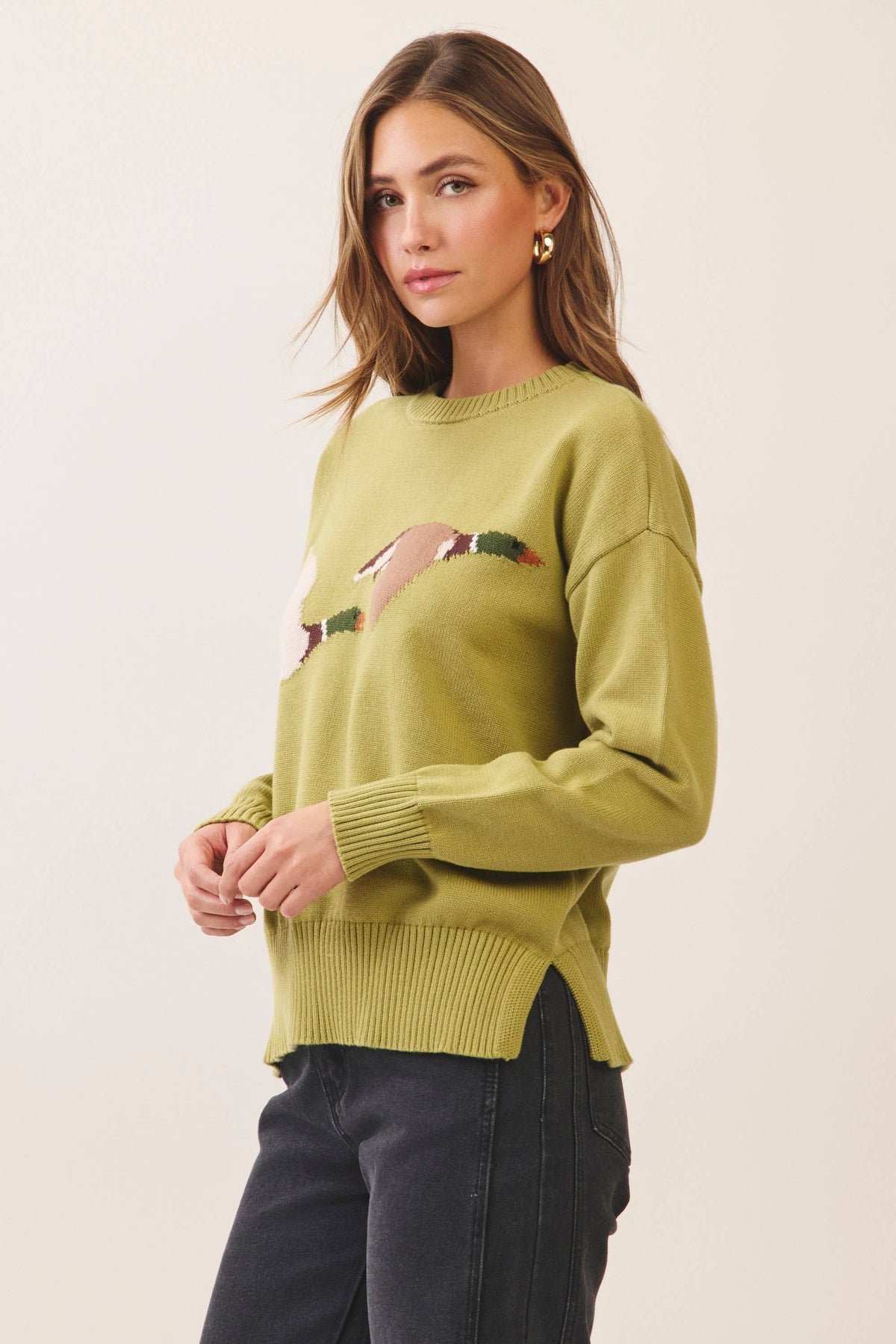 CW2679-Flying Duck Intarsia Crew Neck Sweater: Green / S