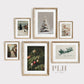 Holiday Stairs Art Print: 11"x14"