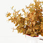 530070- 16in Plastic Sweetgum Leaves Bush-Fall Mix-