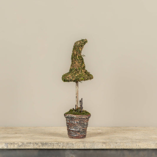 12" POTTED  MOSS WITCH'S HAT