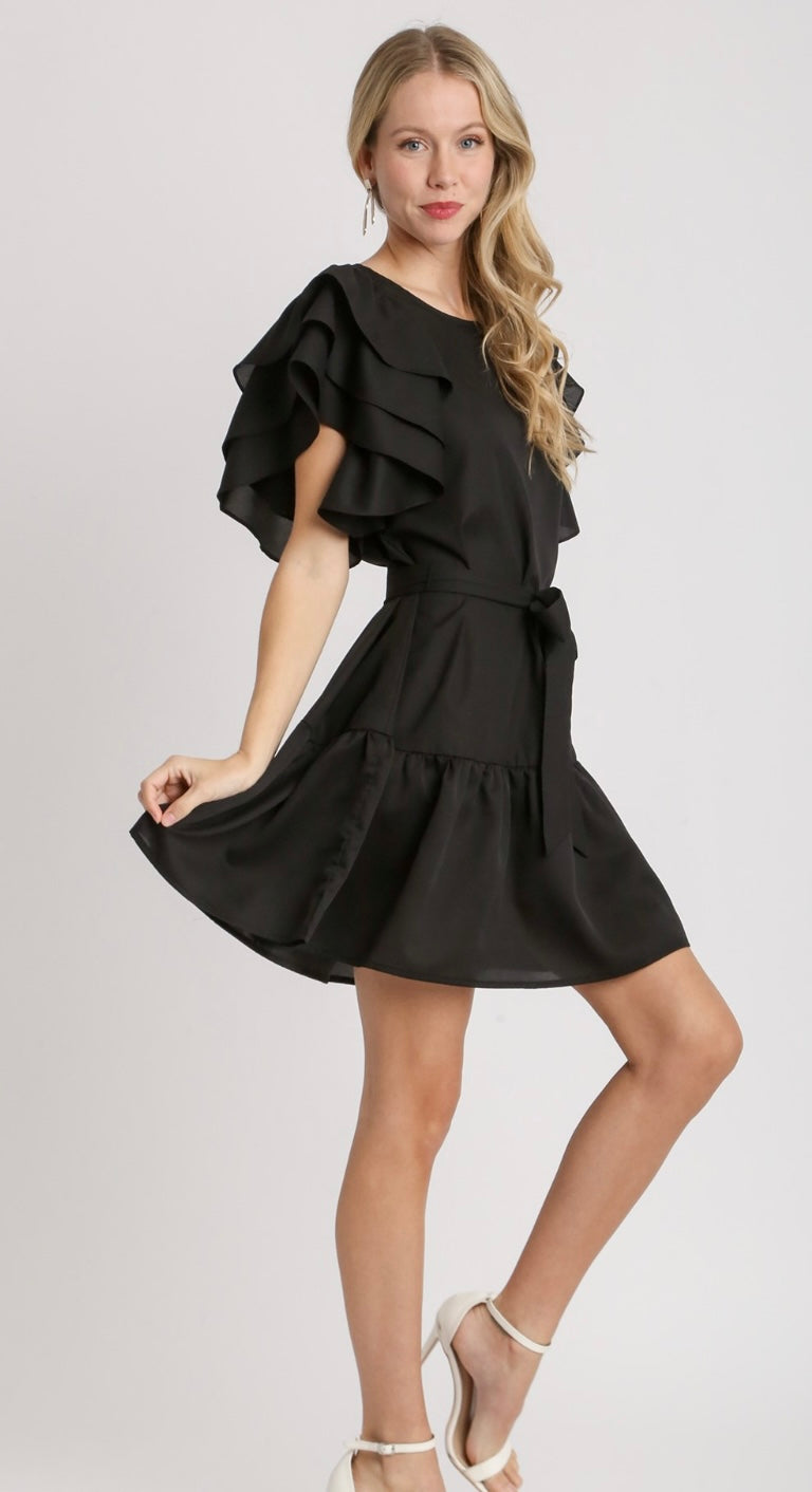 Raven Ruffled Sleeve Dress