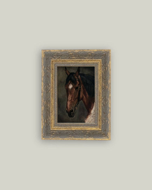 Horse Portrait: 5x7