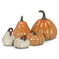 Mini Pumpkin