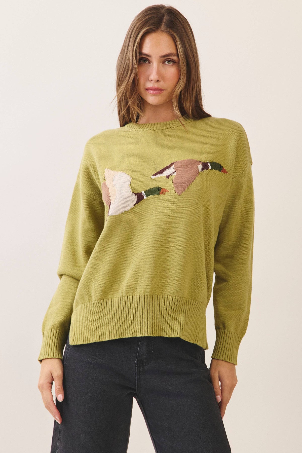 CW2679-Flying Duck Intarsia Crew Neck Sweater: Green / S