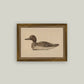 Wooden Duck Decoy Framed Antique Art: 9x7