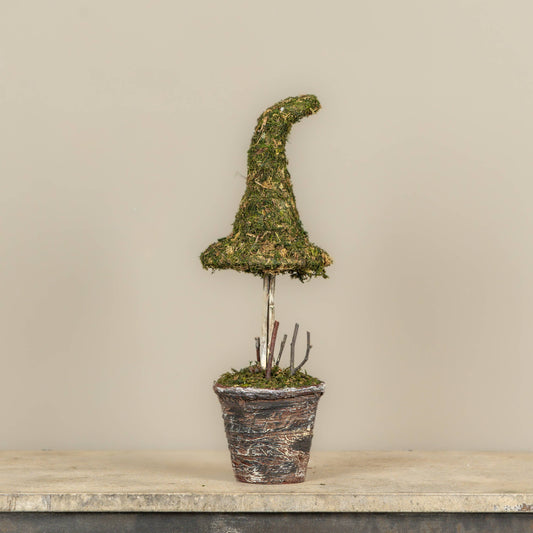 18" POTTED MOSS WITCH'S HAT